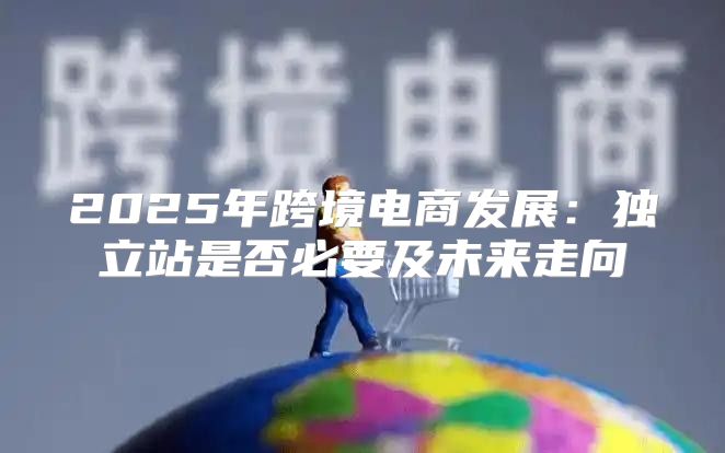 2025年跨境电商发展：独立站是否必要及未来走向