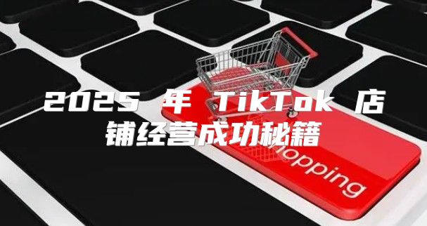 2025 年 TikTok 店铺经营成功秘籍