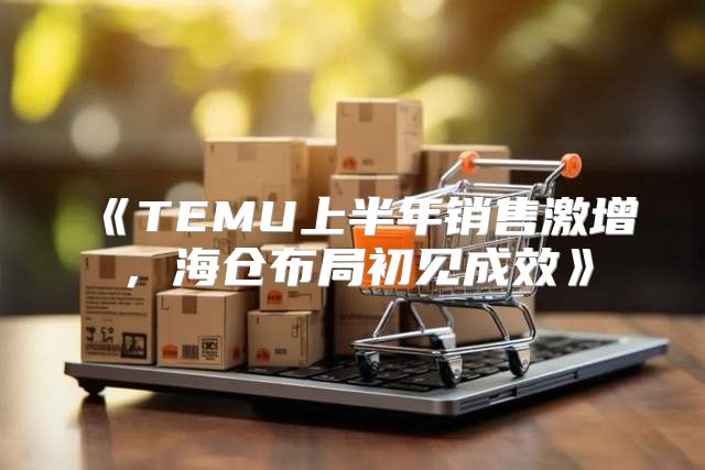 TEMU上半年销售激增，海仓布局初见成效