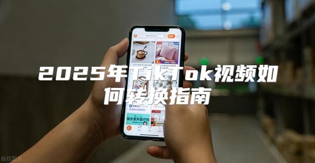 2025年TikTok视频如何转换指南