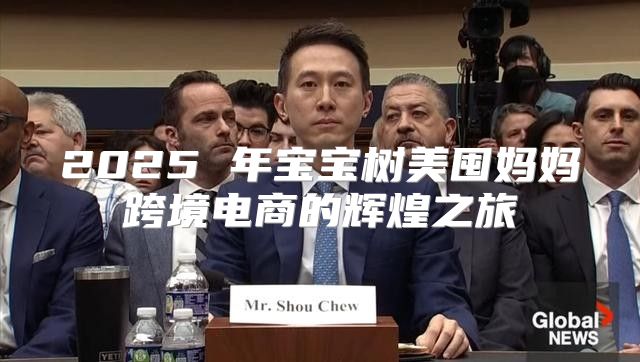 2025 年宝宝树美囤妈妈跨境电商的辉煌之旅