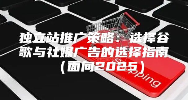 独立站推广策略：选择谷歌与社媒广告的选择指南面向2025