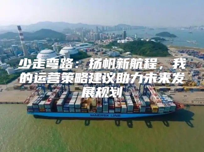 少走弯路：扬帆新航程，我的运营策略建议助力未来发展规划