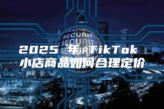 2025 年 TikTok 小店商品如何合理定价