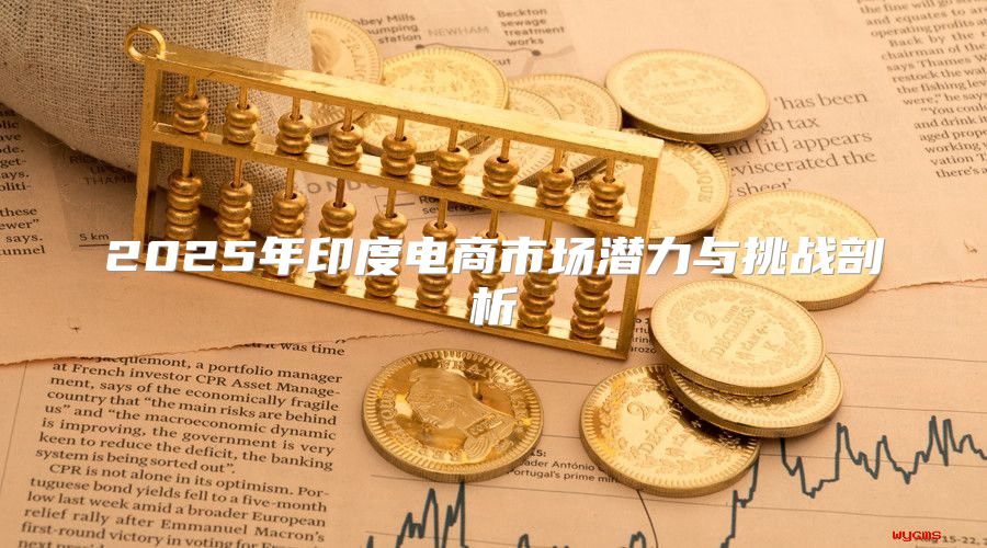 2025年印度电商市场潜力与挑战剖析