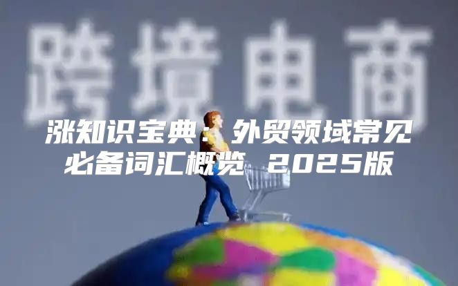 涨知识宝典：外贸领域常见必备词汇概览 2025版