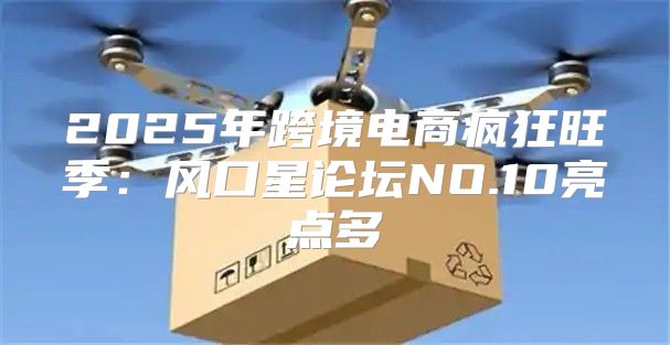 2025年跨境电商疯狂旺季：风口星论坛NO.10亮点多