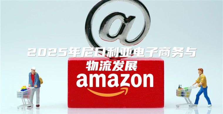 2025年尼日利亚电子商务与物流发展