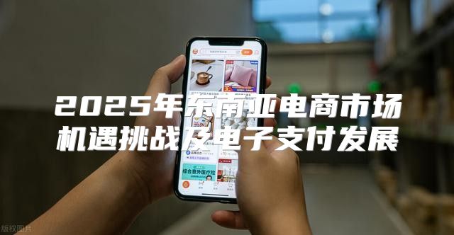 2025年东南亚电商市场机遇挑战及电子支付发展