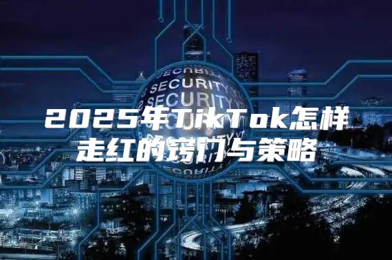 2025年TikTok怎样走红的窍门与策略