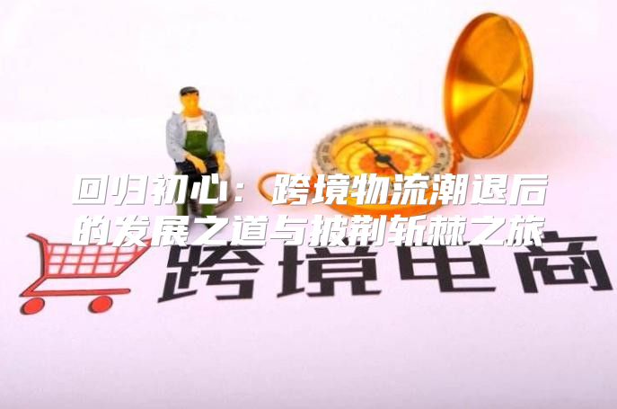 回归初心：跨境物流潮退后的发展之道与披荆斩棘之旅