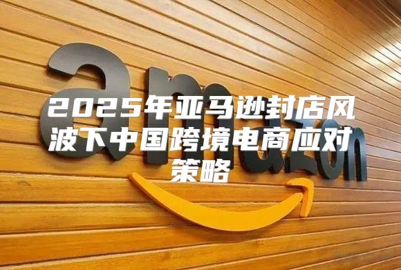 2025年亚马逊封店风波下中国跨境电商应对策略