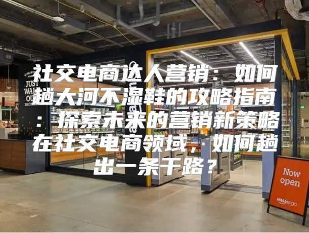 社交电商达人营销：如何趟大河不湿鞋的攻略指南：探索未来的营销新策略在社交电商领域，如何趟出一条干路？