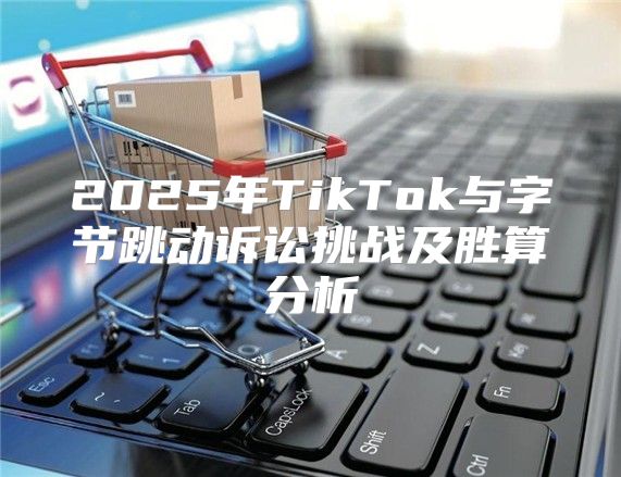 2025年TikTok与字节跳动诉讼挑战及胜算分析