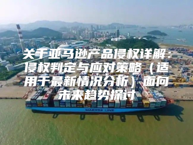 关于亚马逊产品侵权详解：侵权判定与应对策略适用于最新情况分析面向未来趋势探讨