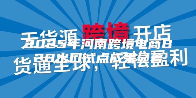 2025年河南跨境电商B2B出口试点成果显著