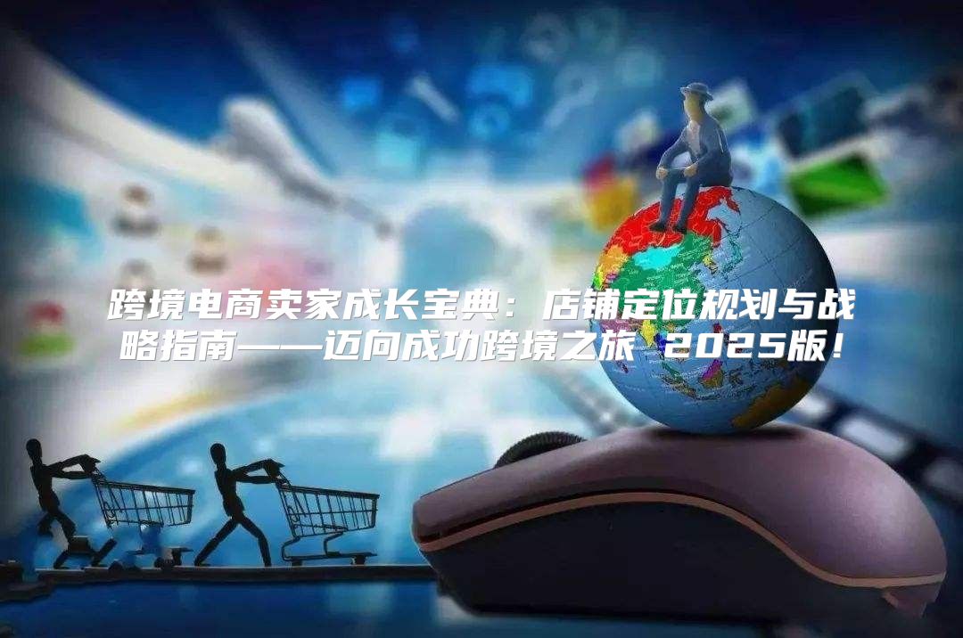 跨境电商卖家成长宝典：店铺定位规划与战略指南——迈向成功跨境之旅 2025版！