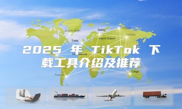 2025 年 TikTok 下载工具介绍及推荐