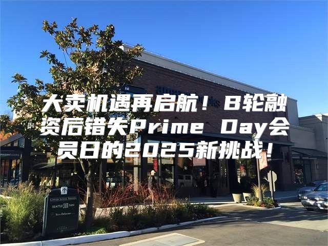 大卖机遇再启航！B轮融资后错失Prime Day会员日的2025新挑战！