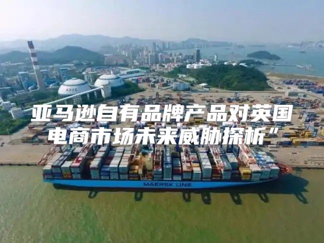 亚马逊自有品牌产品对英国电商市场未来威胁探析”