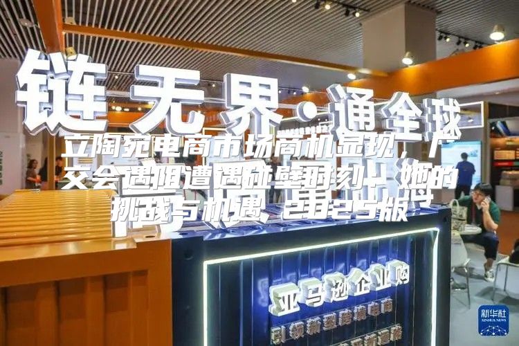 立陶宛电商市场商机显现，广交会遇阻遭遇碰壁时刻：她的挑战与机遇 2025版