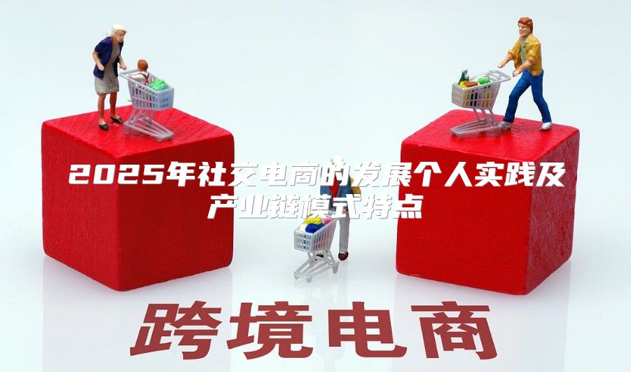 2025年社交电商的发展个人实践及产业链模式特点