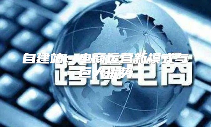 自建站：电商运营新模式与巨大优势