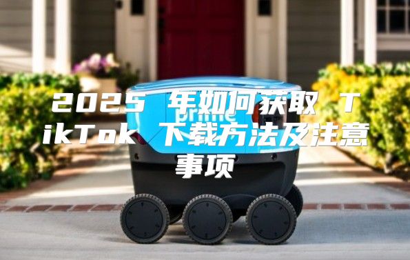 2025 年如何获取 TikTok 下载方法及注意事项