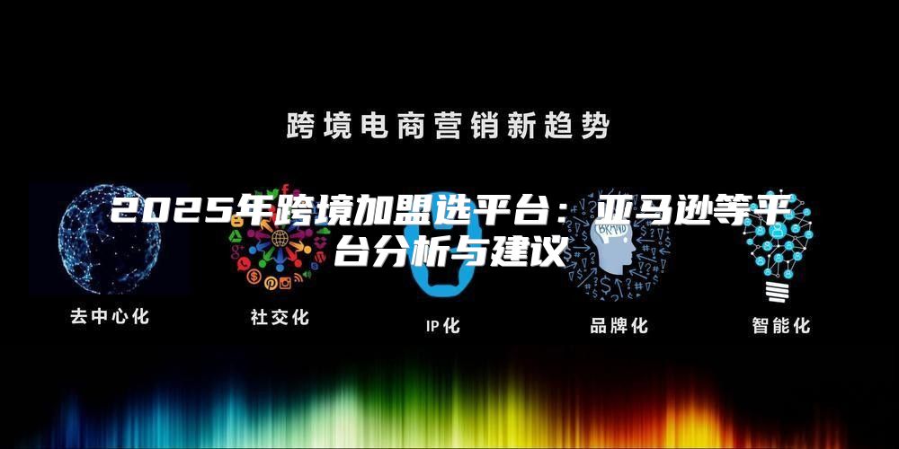 2025年跨境加盟选平台：亚马逊等平台分析与建议