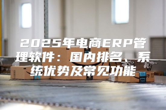 2025年电商ERP管理软件：国内排名、系统优势及常见功能