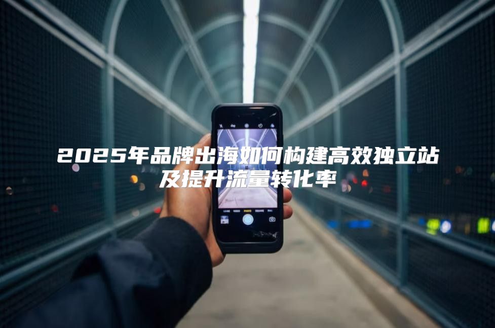 2025年品牌出海如何构建高效独立站及提升流量转化率