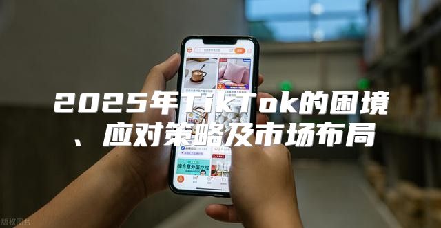 2025年TikTok的困境、应对策略及市场布局