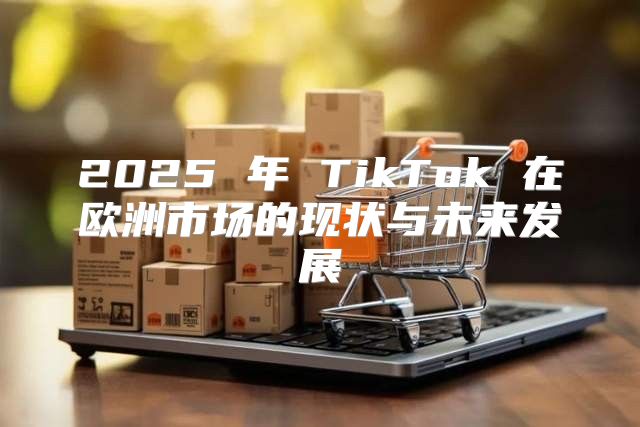 2025 年 TikTok 在欧洲市场的现状与未来发展