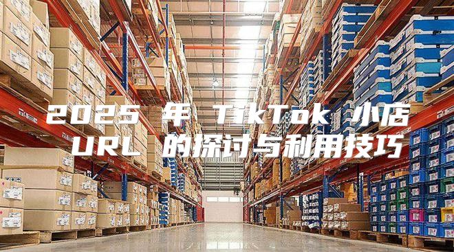 2025 年 TikTok 小店 URL 的探讨与利用技巧