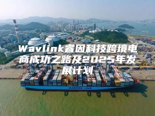 Wavlink睿因科技跨境电商成功之路及2025年发展计划