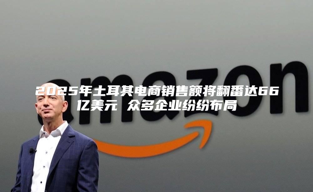 2025年土耳其电商销售额将翻番达66亿美元 众多企业纷纷布局