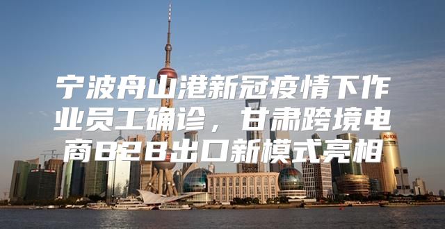 宁波舟山港新冠疫情下作业员工确诊，甘肃跨境电商B2B出口新模式亮相