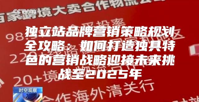 独立站品牌营销策略规划全攻略：如何打造独具特色的营销战略迎接未来挑战至2025年