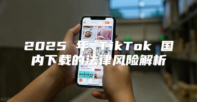 2025 年 TikTok 国内下载的法律风险解析