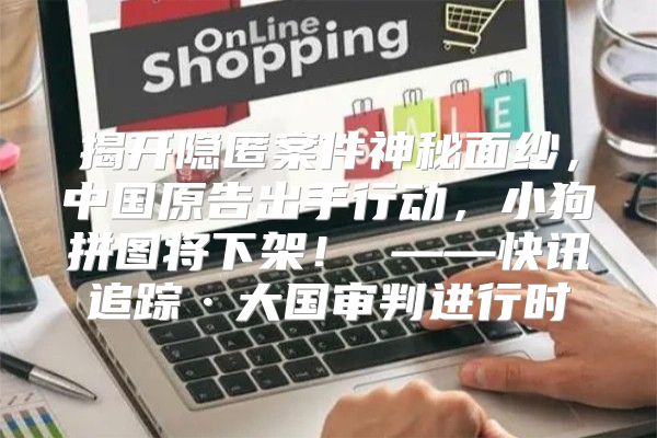 揭开隐匿案件神秘面纱，中国原告出手行动，小狗拼图将下架！ ——快讯追踪·大国审判进行时