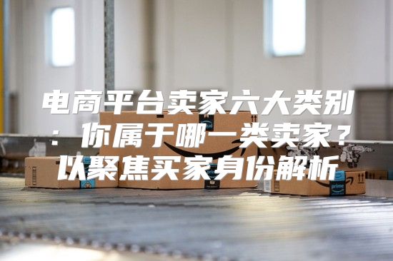 电商平台卖家六大类别：你属于哪一类卖家？以聚焦买家身份解析