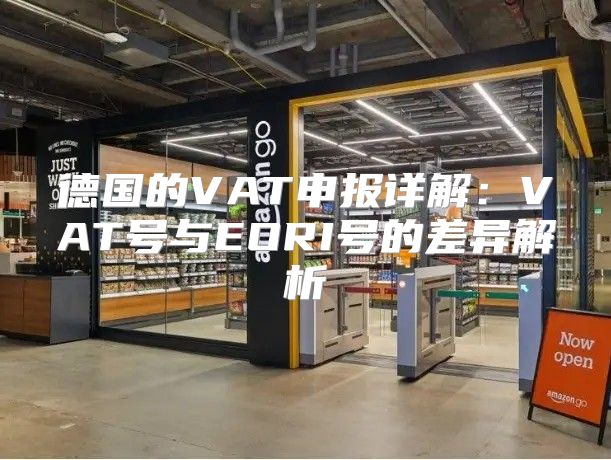 德国的VAT申报详解：VAT号与EORI号的差异解析