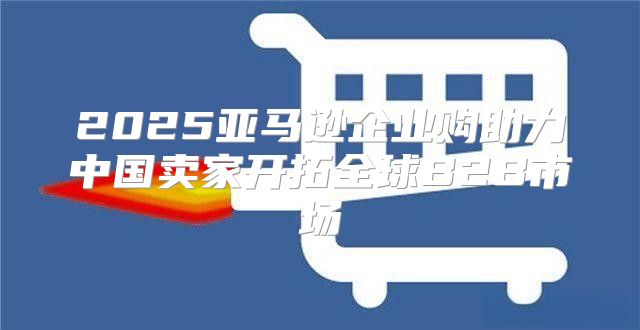 2025亚马逊企业购助力中国卖家开拓全球B2B市场