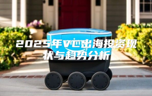 2025年VC出海投资现状与趋势分析