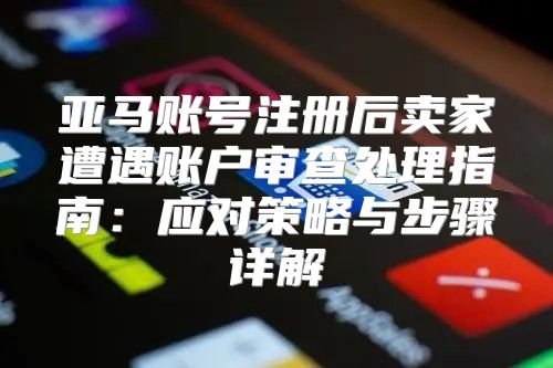 亚马账号注册后卖家遭遇账户审查处理指南：应对策略与步骤详解