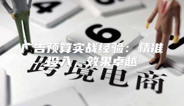 广告预算实战经验：精准投入，效果卓越