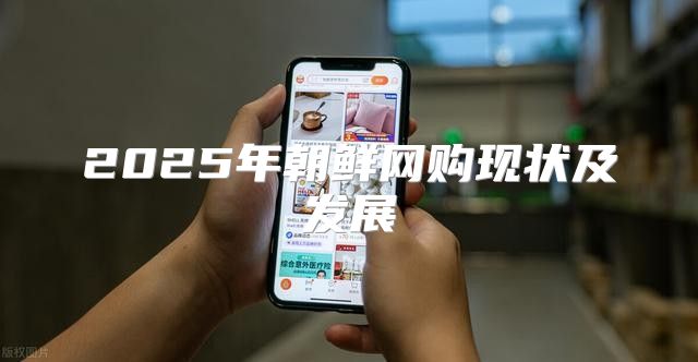 2025年朝鲜网购现状及发展