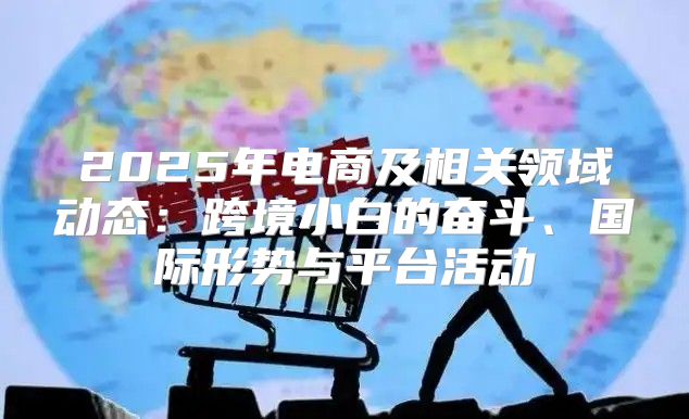 2025年电商及相关领域动态：跨境小白的奋斗、国际形势与平台活动