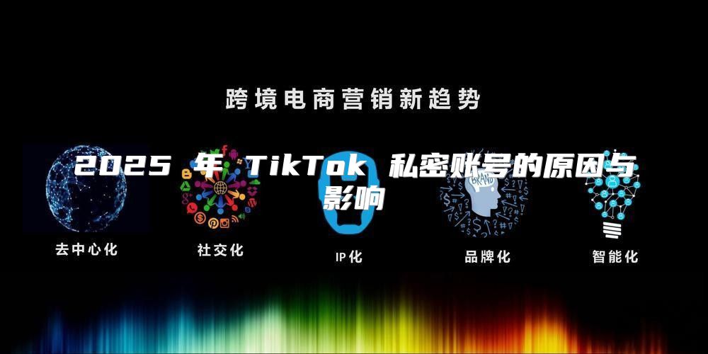 2025 年 TikTok 私密账号的原因与影响
