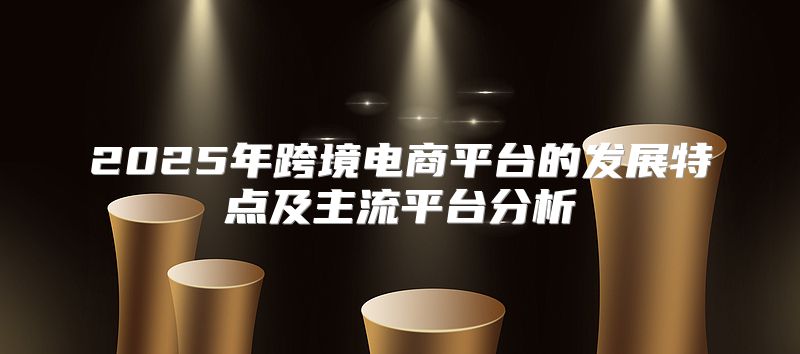 2025年跨境电商平台的发展特点及主流平台分析